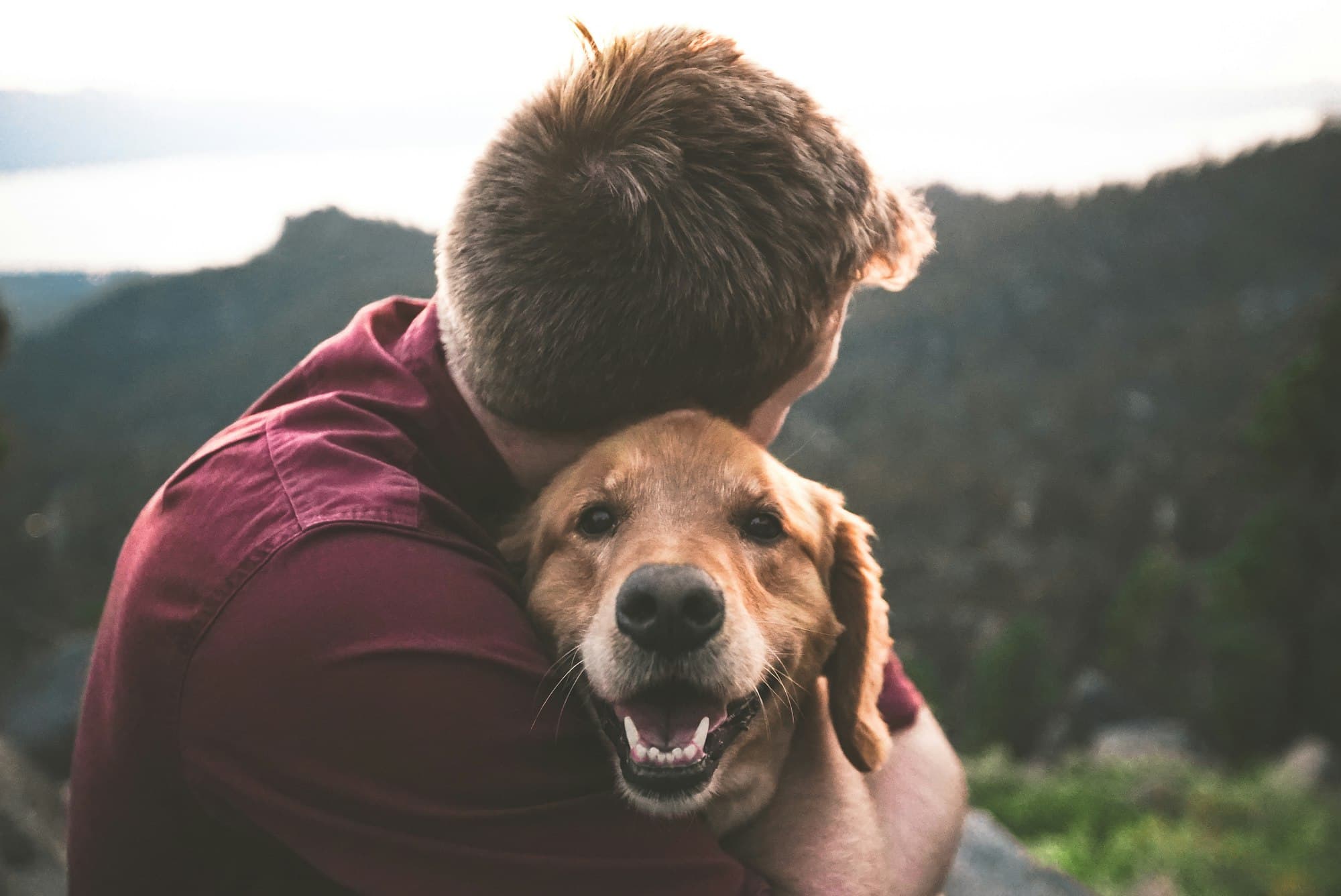 A man warmly embracing a happy golden retriever outdoors at sunset